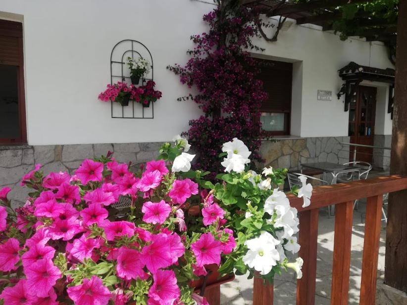 Atxispe Etxea Casa Rural Laukiz Buitenkant foto